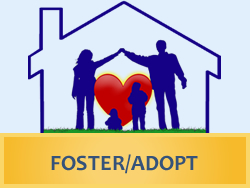 Foster Care Adoption Application