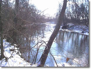 Image of park creek