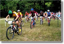 Image bicyclers in Landen-Deerfield Park